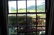 View from the window