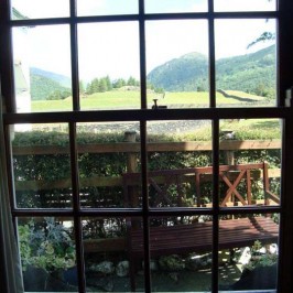 View from the window