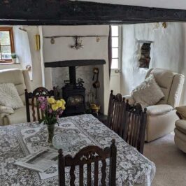 Wood Burning Stove
