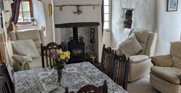 Wood Burning Stove